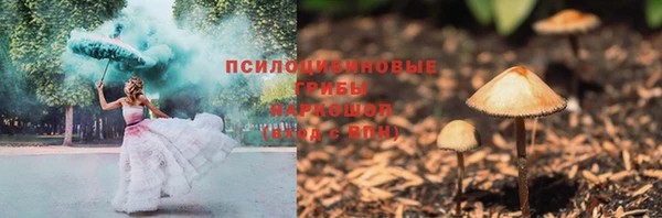 дмт Пестово
