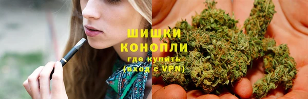 дмт Пестово