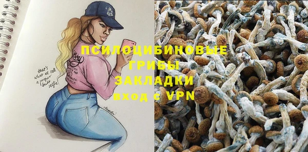 мдпв Переславль-Залесский