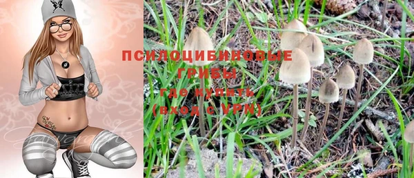 прущая мука Рославль
