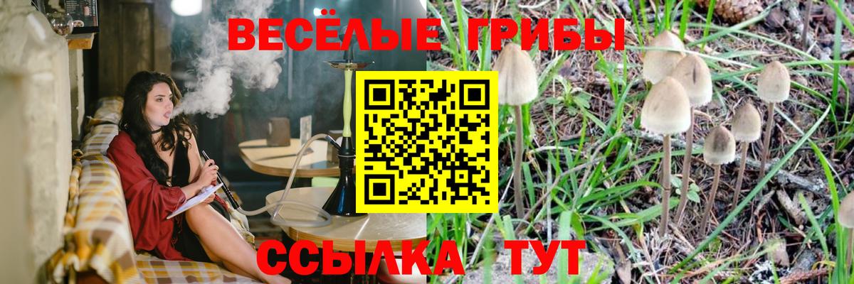Псилоцибиновые грибы Psilocybine cubensis Бугуруслан