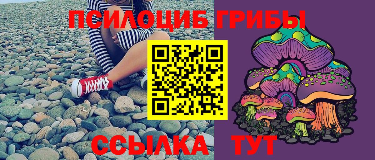 Галлюциногенные грибы Cubensis  Псилоцибиновые грибы прущие грибы  Вход с VPN  Бугуруслан 