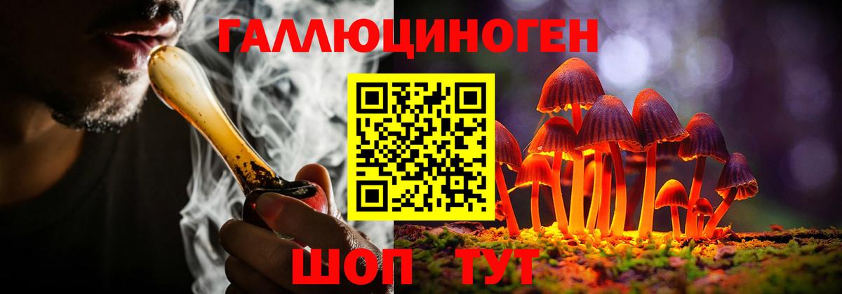 Псилоцибиновые грибы GOLDEN TEACHER Бугуруслан
